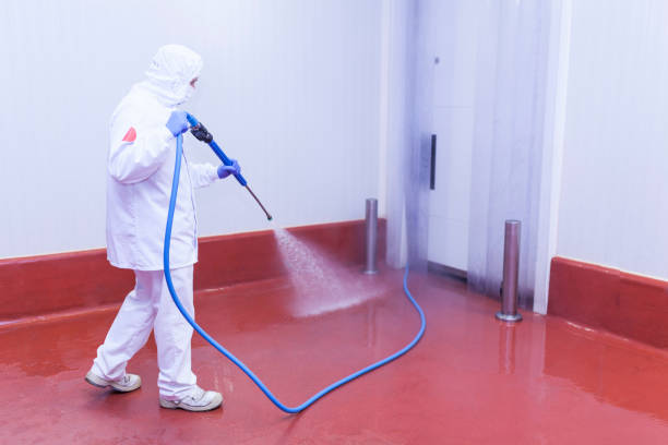 Best Solar Panel Cleaning  in Richwood, LA